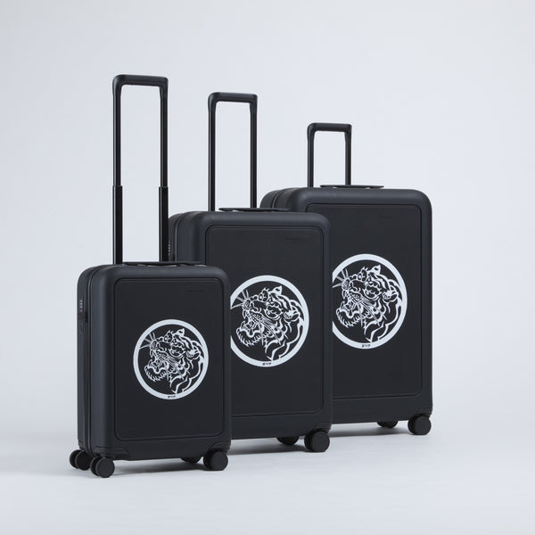 suitcase moln GOTORA